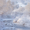 Winter Wonderland - Colorado Photograph by Darren White Winter Wonderland - Colorado Photograph by Darren White