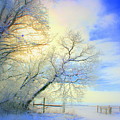 Winters Pretty Presents Photograph by Julie Lueders Winters Pretty Presents Photograph by Julie Lueders