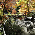 Winterthur Gardens #08559 by Raymond Magnani