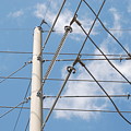 Wired Sky by Rob Hans Wired Sky by Rob Hans