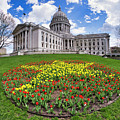 Wisconsin Capitol And Tulips by Steven Ralser Wisconsin Capitol And Tulips by Steven Ralser