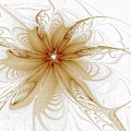 Wispy Digital Art by Amanda Moore Wispy Digital Art by Amanda Moore
