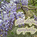 Wisteria Sympathy Card by Mother Nature Wisteria Sympathy Card by Mother Nature