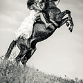 Woman in dress riding chestnut black rearing stallion Photograph by Dimitar Hristov Woman in dress riding chestnut black rearing stallion Photograph by Dimitar Hristov