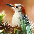 Wonderful Woodpecker Painting by Tina LeCour Wonderful Woodpecker Painting by Tina LeCour