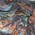 Wood Grain Photograph by Bonnie Bruno Wood Grain Photograph by Bonnie Bruno
