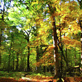 Wood Plank Trail by Cedric Hampton Wood Plank Trail by Cedric Hampton