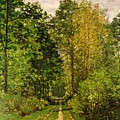 Wooded Path by Claude Monet Wooded Path by Claude Monet