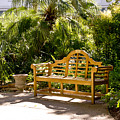 Wooden Bench in Alamo Photograph by Elena Perelman Wooden Bench in Alamo Photograph by Elena Perelman