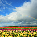 Wooden Shoe Rainbow Photograph by Patrick Campbell Wooden Shoe Rainbow Photograph by Patrick Campbell