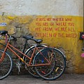 Writing On The Wall Photograph by Carolyn Mickulas Writing On The Wall Photograph by Carolyn Mickulas