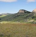 Wyoming Bluffs by Diane Bohna