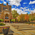Yale University Sterling Library II Photograph by Susan Candelario Yale University Sterling Library II Photograph by Susan Candelario