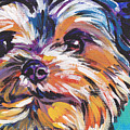 Yay Yorkie Painting by Lea S Yay Yorkie Painting by Lea S