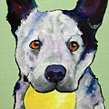Yellow Ball by Pat Saunders-White Yellow Ball by Pat Saunders-White