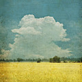Yellow field on old grunge paper by Setsiri Silapasuwanchai Yellow field on old grunge paper by Setsiri Silapasuwanchai