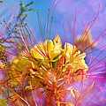 Yellow flowers Photograph by Tatiana Travelways Yellow flowers Photograph by Tatiana Travelways