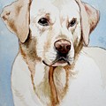 Yellow Lab Painting by Christopher Shellhammer Yellow Lab Painting by Christopher Shellhammer