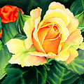 Yellow Roses Painting by Hailey E Herrera Yellow Roses Painting by Hailey E Herrera