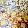 Yellow roses by Valerie Josi Yellow roses by Valerie Josi
