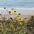 Yellow Wildflowers- Art by Linda Woods Painting by Linda Woods Yellow Wildflowers- Art by Linda Woods Painting by Linda Woods