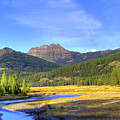 Yellowstone National Park Landscape by Juli Scalzi Yellowstone National Park Landscape by Juli Scalzi