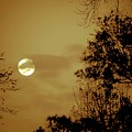 Yesteryears Moon Photograph by DigiArt Diaries by Vicky B Fuller Yesteryears Moon Photograph by DigiArt Diaries by Vicky B Fuller