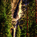 Yosemite Falls Framed by Ponderosa Pines Photograph by Roger Passman Yosemite Falls Framed by Ponderosa Pines Photograph by Roger Passman