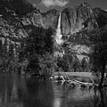 Yosemite Falls from Swinging Bridge in Black and White Photograph by Raymond Salani III Yosemite Falls from Swinging Bridge in Black and White Photograph by Raymond Salani III