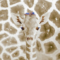 Young giraffe Photograph by Mark Mille Young giraffe Photograph by Mark Mille