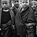 Young Monks II Bw by Steve Harrington Young Monks II Bw by Steve Harrington