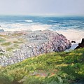 Yzerfontein Oggend by Tim Johnson