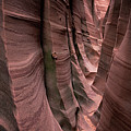 Zebra Canyon Photograph by Edgars Erglis