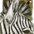 Zebra Digital Digital Art by Darren Cannell Zebra Digital Digital Art by Darren Cannell