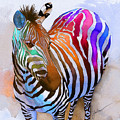 Zebra Dreams by Galen Hazelhofer Zebra Dreams by Galen Hazelhofer