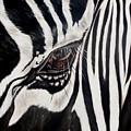Zebra Eye Painting by Ilse Kleyn Zebra Eye Painting by Ilse Kleyn