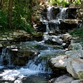 Zoo Waterfall Photograph by Kenny Glover Zoo Waterfall Photograph by Kenny Glover