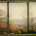 Autumn Photograph by Peggy Dietz Autumn Photograph by Peggy Dietz