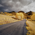 Back Road In Colorado 1 by Jon Glaser Back Road In Colorado 1 by Jon Glaser