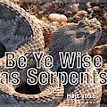 Be Ye Wise as Serpents Photograph by Judy Kennedy Be Ye Wise as Serpents Photograph by Judy Kennedy