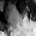 Black White Grey Abstract by Vesna Antic Black White Grey Abstract by Vesna Antic