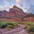 Desert And Cliffs, Vermilion Cliffs Photograph by Tim Fitzharris Desert And Cliffs, Vermilion Cliffs Photograph by Tim Fitzharris