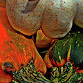 Gourds Digital Art by Alexa Szlavics Gourds Digital Art by Alexa Szlavics