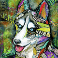 Husky #1 by Patricia Lintner