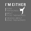 I'm Either Taekwondo About To Taekwondo Thinking About Taekwondo Tee by Do David I'm Either Taekwondo About To Taekwondo Thinking About Taekwondo Tee by Do David