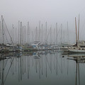 In A Fog Photograph by Randy Hall