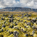 Lava Field of Iceland Photograph by David Letts Lava Field of Iceland Photograph by David Letts