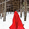 Little Red Riding Hood Photograph by Trevor Slauenwhite Little Red Riding Hood Photograph by Trevor Slauenwhite