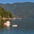 Marina in Deep Cove Photograph by Alex Lyubar Marina in Deep Cove Photograph by Alex Lyubar