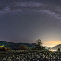 Milky Way And Daffodils #1 Photograph by Ales Krivec
